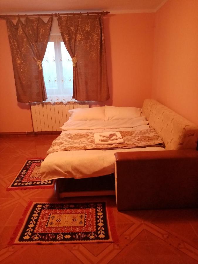 Casa Dana Hotel Borşa Екстериор снимка