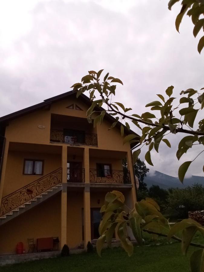 Casa Dana Hotel Borşa Екстериор снимка