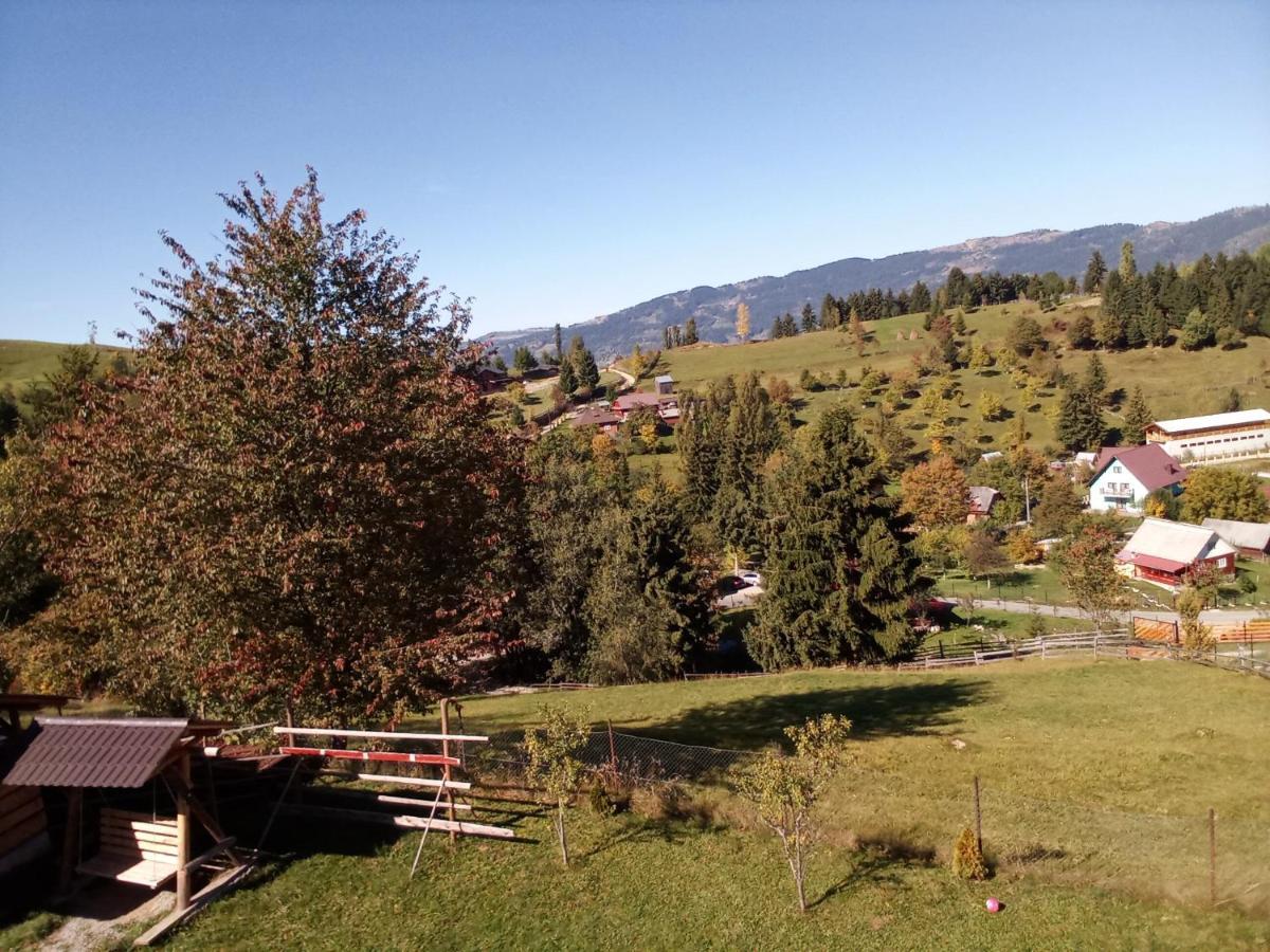 Casa Dana Hotel Borşa Екстериор снимка