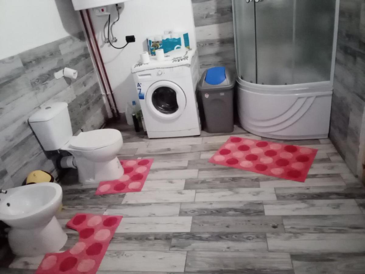 Casa Dana Hotel Borşa Екстериор снимка