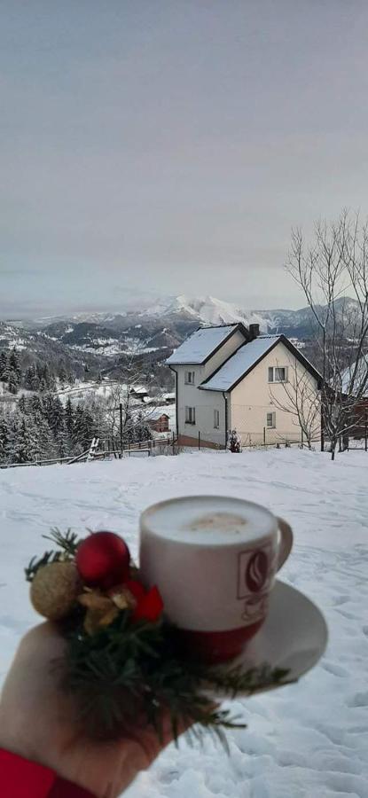 Casa Dana Hotel Borşa Екстериор снимка